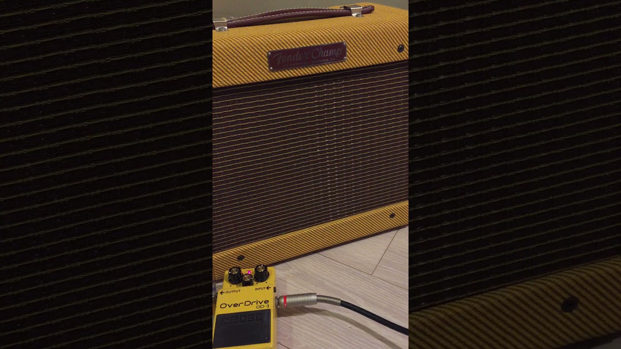 Fender Champ & BOSS OD-3 Blues demo on Fender 1977 Telecaster
