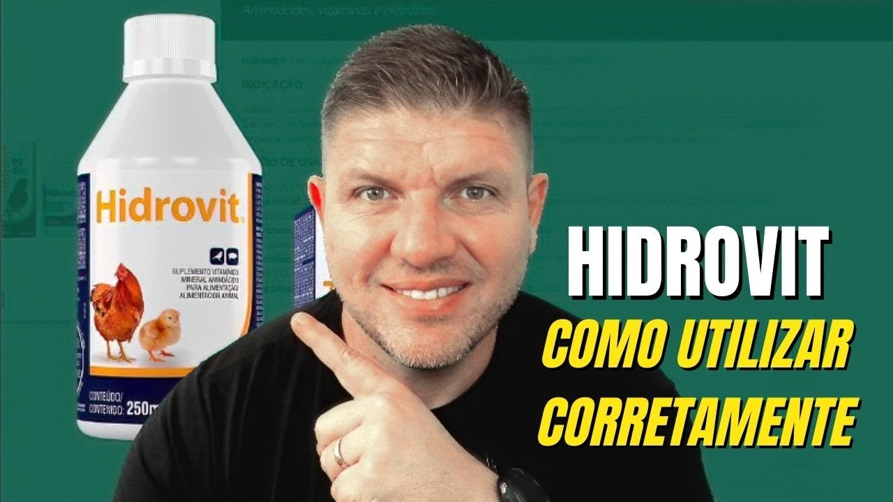 Hidrovit como utilizar da melhor forma na criação e manutenção das aves