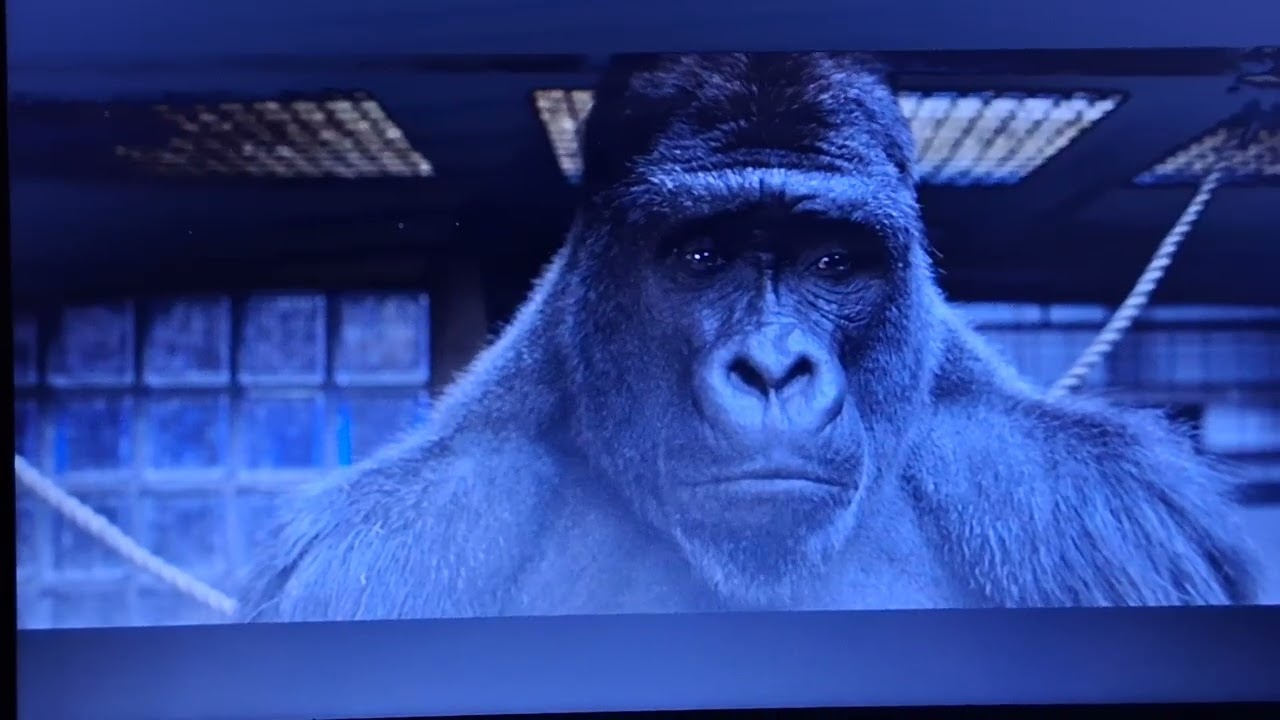 Stella's death the one the only ivan clip