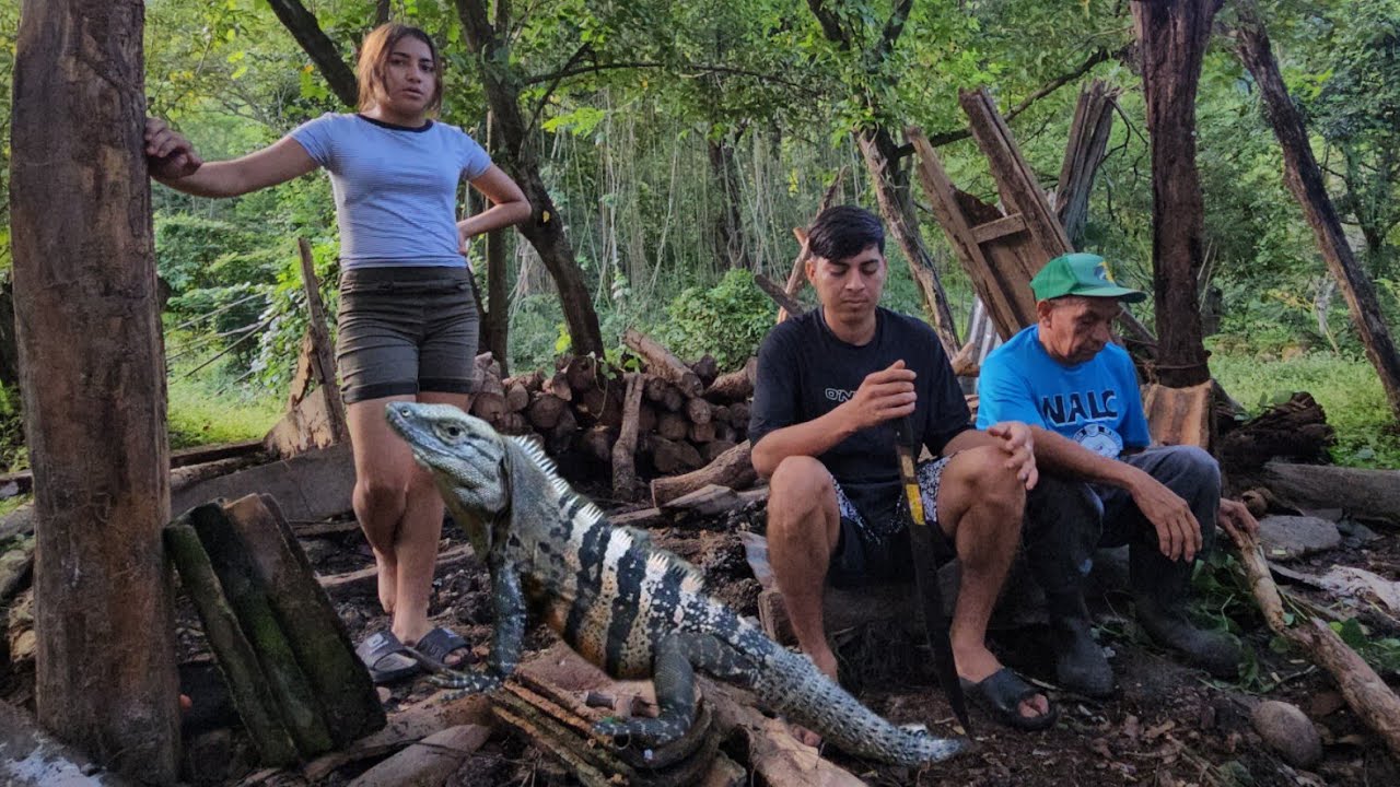 Gran GARROBO allamos en medio De la LEÑA 