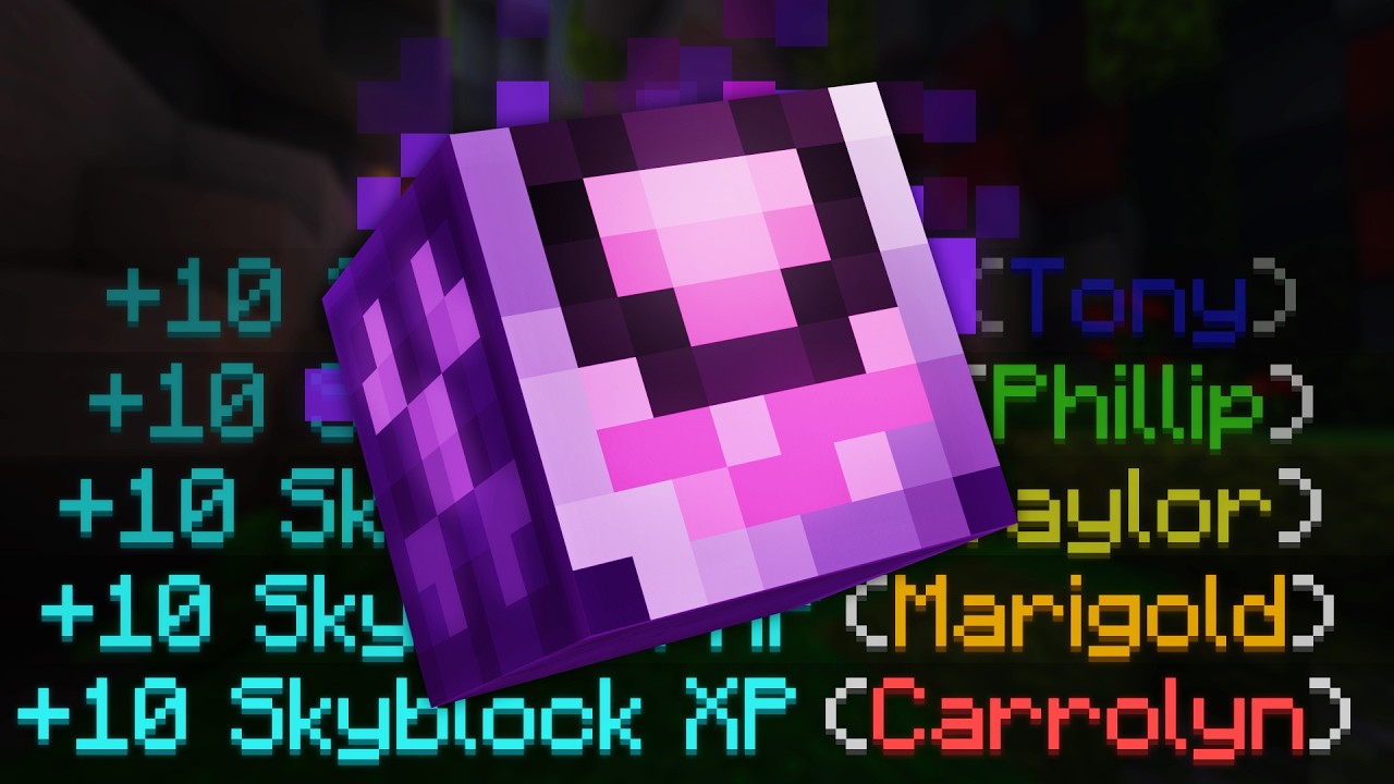 bribing NPCs for skyblock XP (Skyblock Sillies v108)