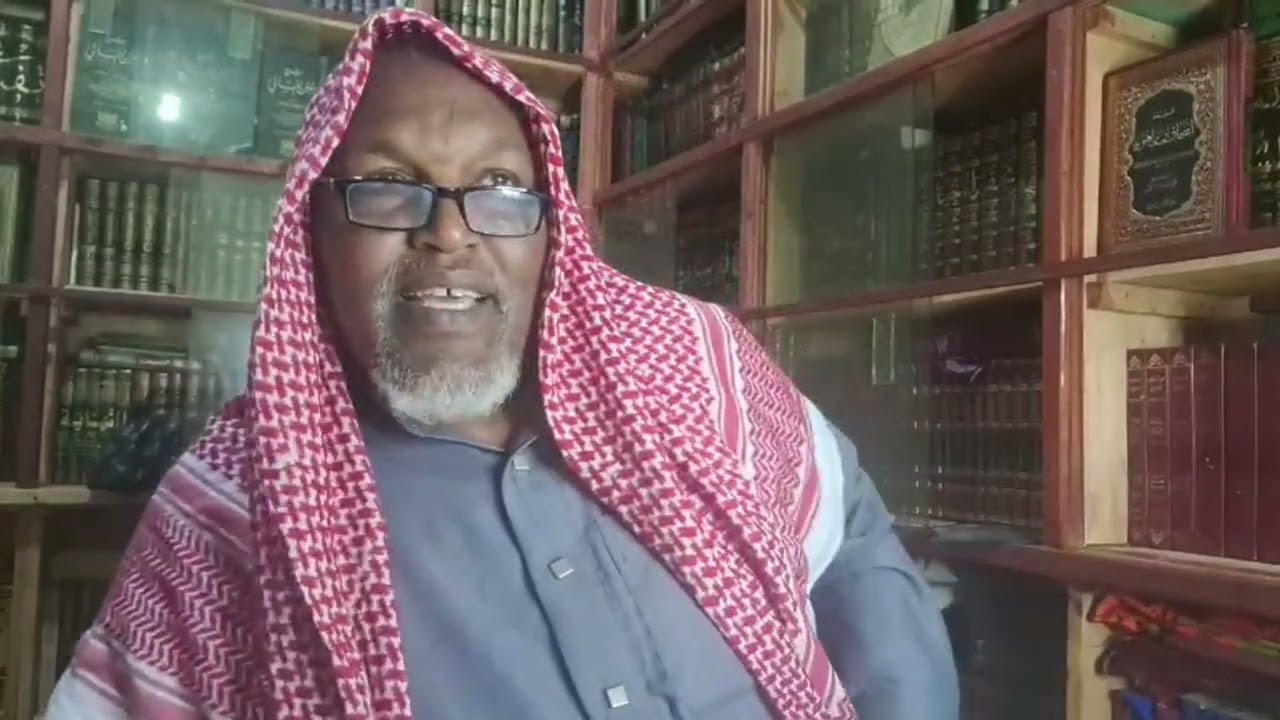 Sagantaa fatwaa