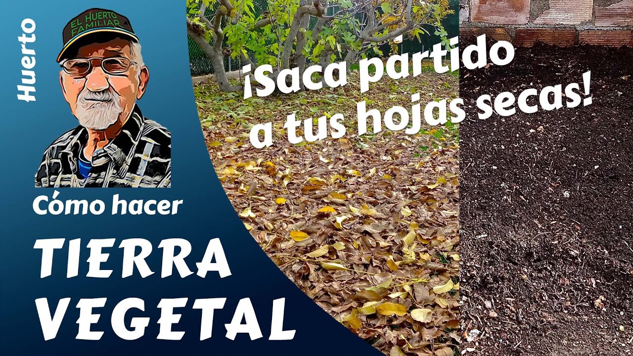 𝗧𝗜𝗘𝗥𝗥𝗔 𝗩𝗘𝗚𝗘𝗧𝗔𝗟: CÓMO HACER TIERRA VEGETAL