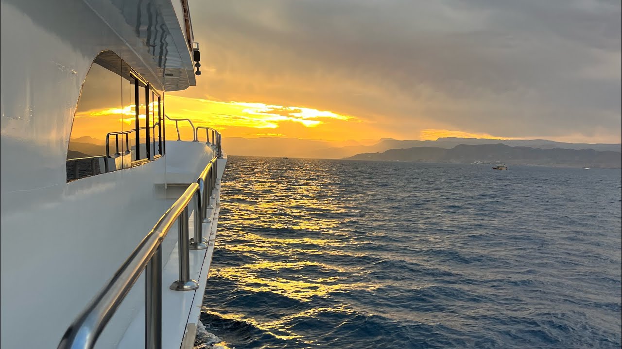 Clean-up dives in Aqaba