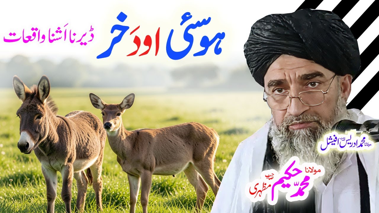 #maulanahakeemmazhari #pashtobayan #pashtostory #ai #muhammadﷺ #mujizat