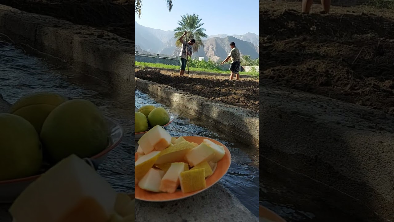 أرض البلاد ،، قاروت الشمالية