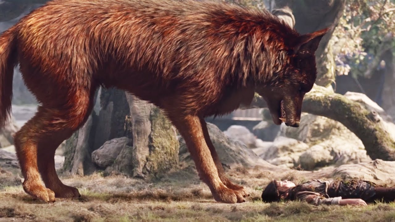 Foreign Wolf Child：The abandoned boy was raised by the Wolf King and became the King of the Forest!
