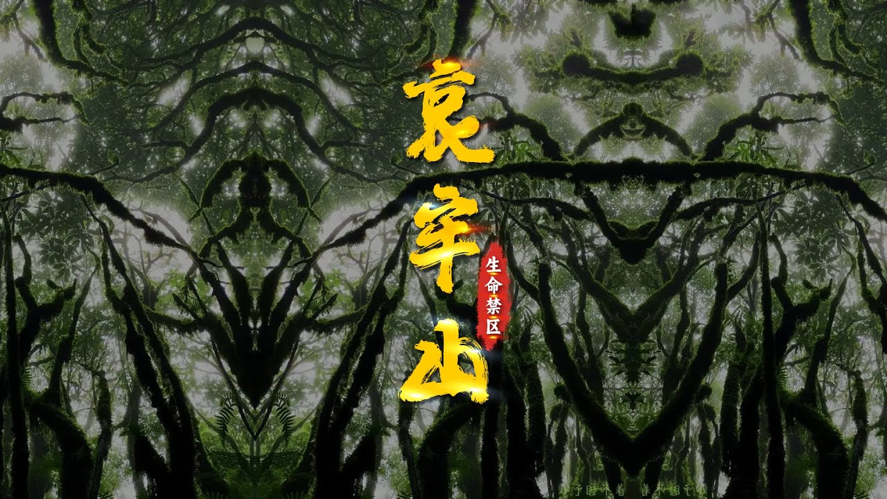 哀牢山：有村庄、有公路、有梯田，为什么成为“生命禁区”？【三维地图看世界】