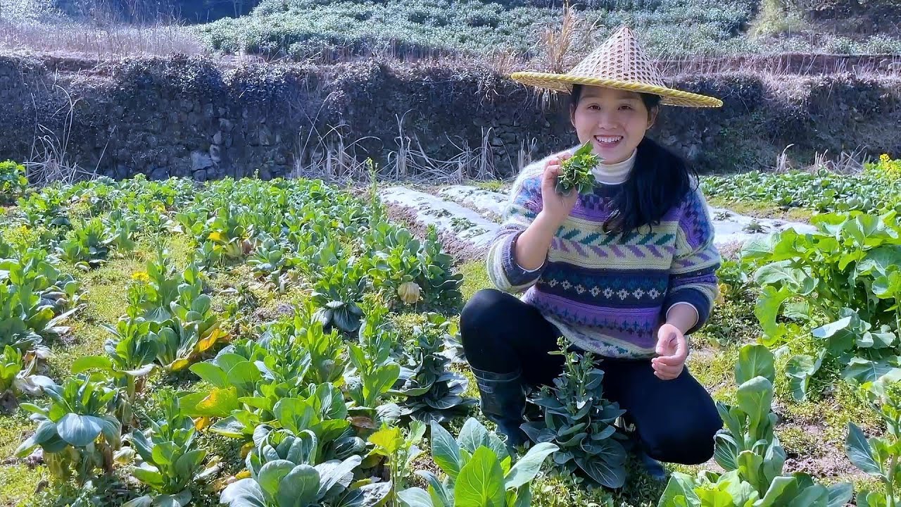 Возьмите горсть ростков овощей, просто обжарьте их, это вкуснее, чем есть мясо.