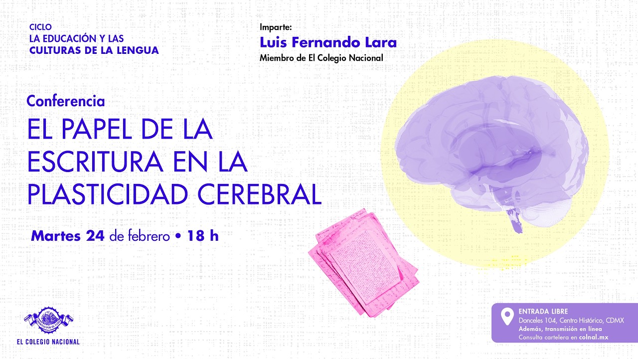 El papel de la escritura en la plasticidad cerebral | La educación y las culturas de la lengua