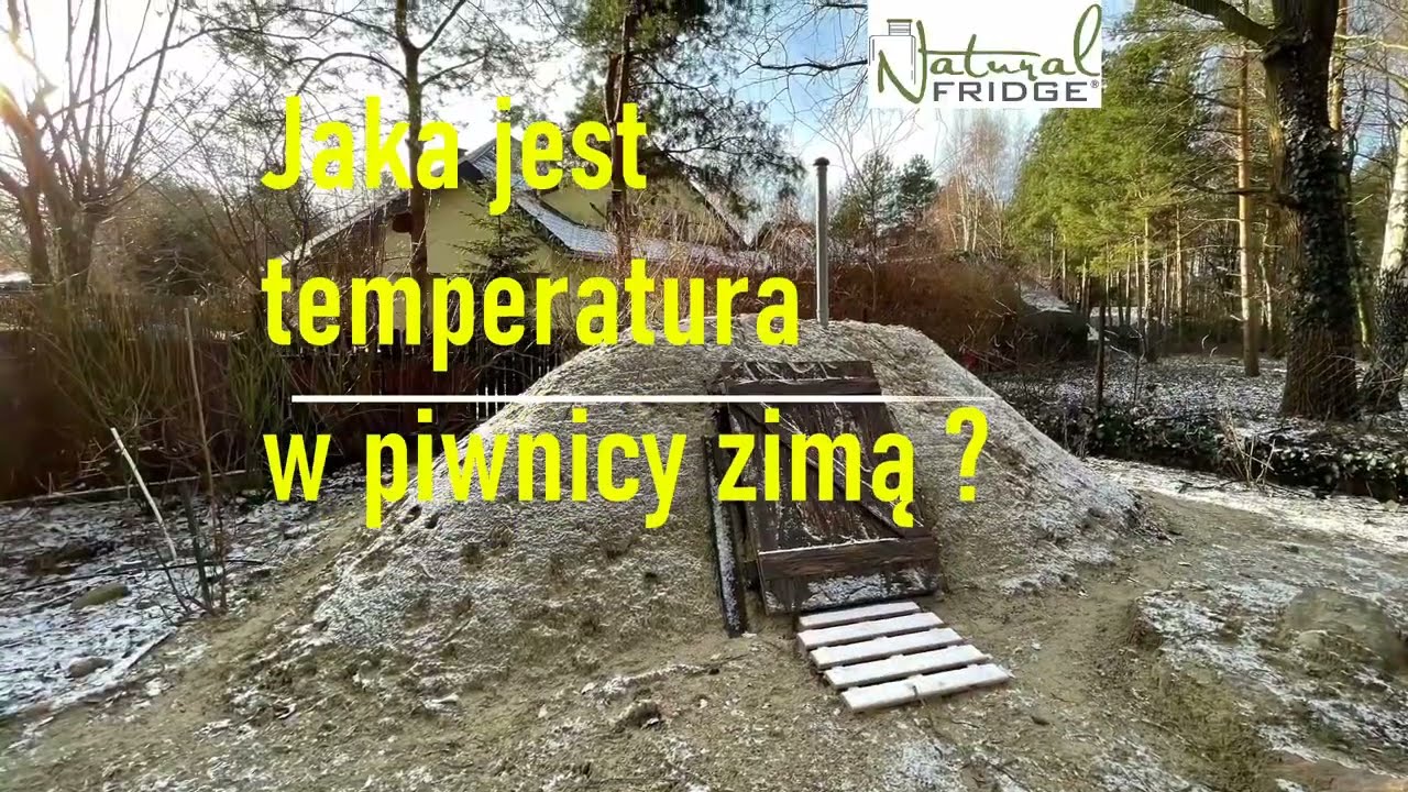 Jaka jest temperatura w piwnicy zimą ?