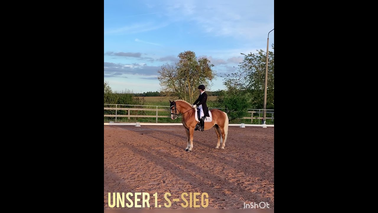 [Turnier] 1. S-Dressur Sieg Dressurhaflinger Amani & Franziska Keth
