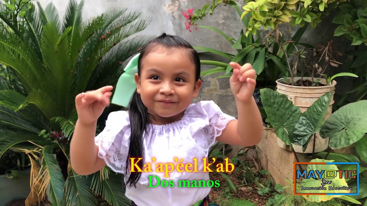 Baby Shark en lengua Maya