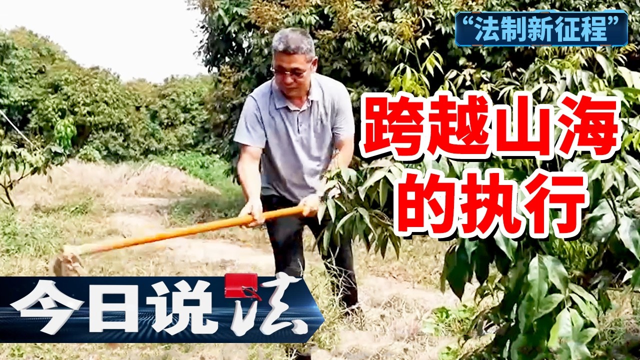 《今日说法》7000亩林地执行难？“柔性”破局 一场跨越山海的“共赢”执行战 20260311 | 今日法案