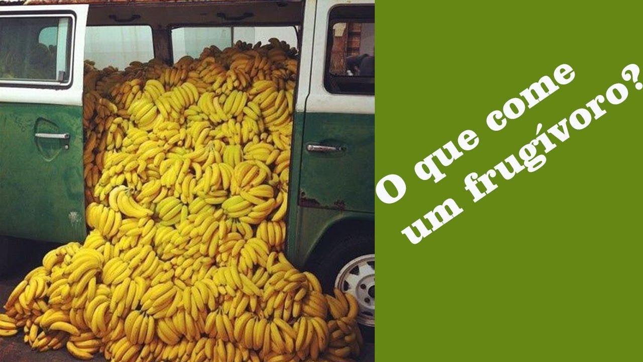 O Que Come Um Frug&iacute;voro?