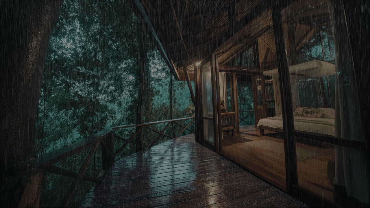 Forest Rain Sounds for Deep Sleep – Gentle Rain to Calm Your Mind