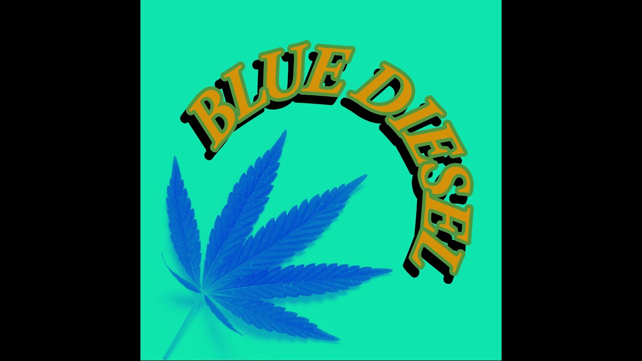 Blue Diesel Auto
