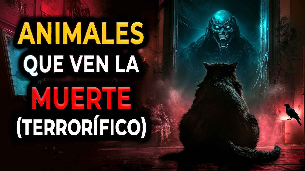 Misterios: Descubre Cómo Estos Animales Saben Cuándo Vas a Morir