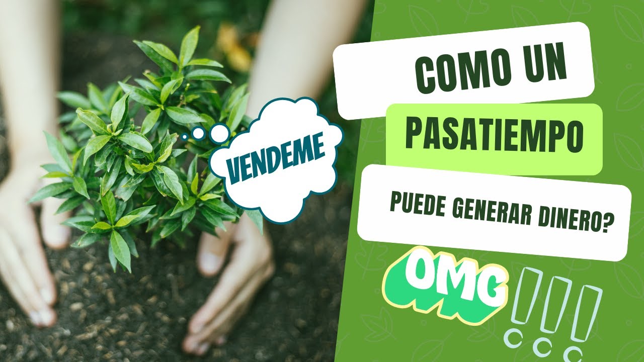Vender Plantas &iquest;Es buen negocio? | Consejos para tu negocio de plantas