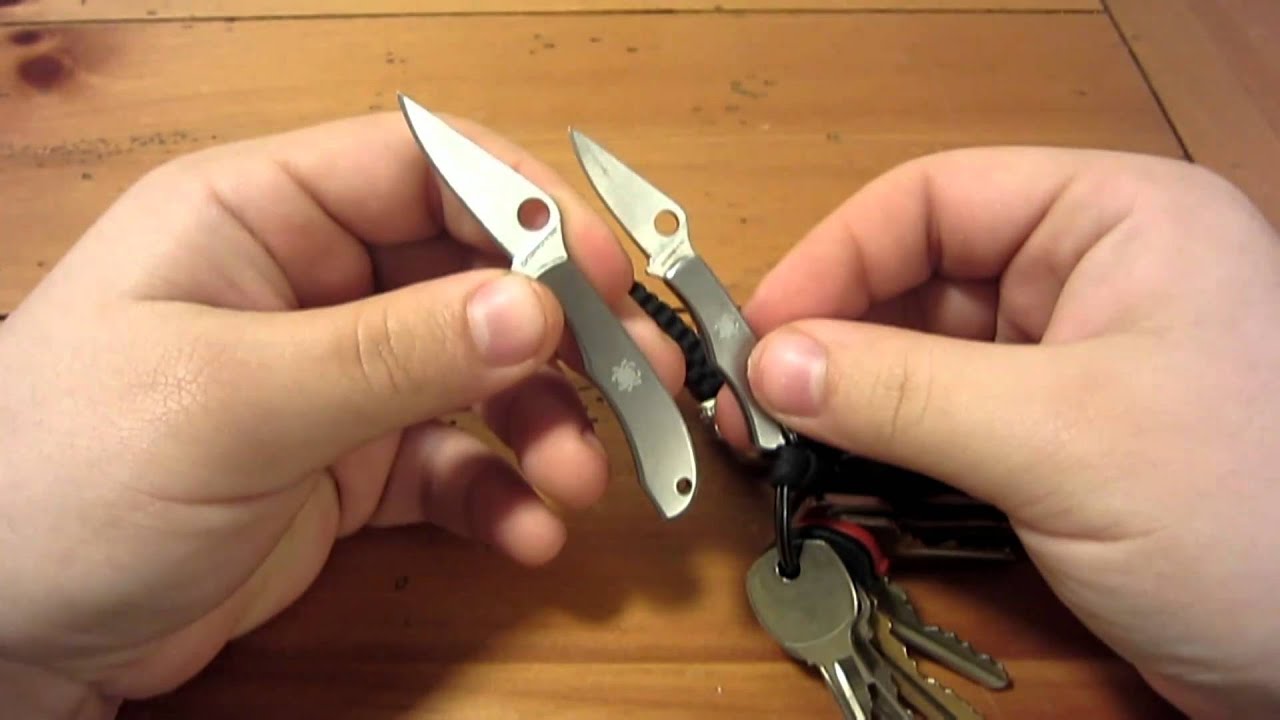 Knife Review : Spyderco HoneyBee