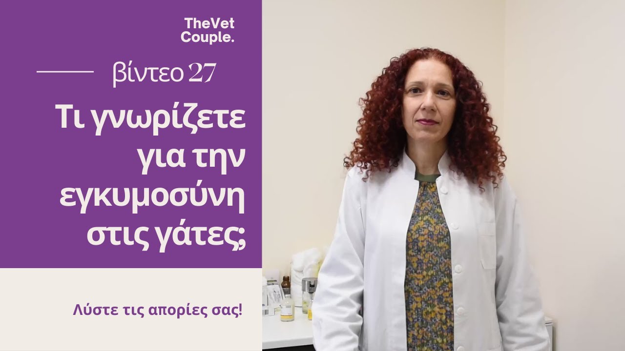 Τι γνωρίζετε για την εγκυμοσύνη στις γάτες;