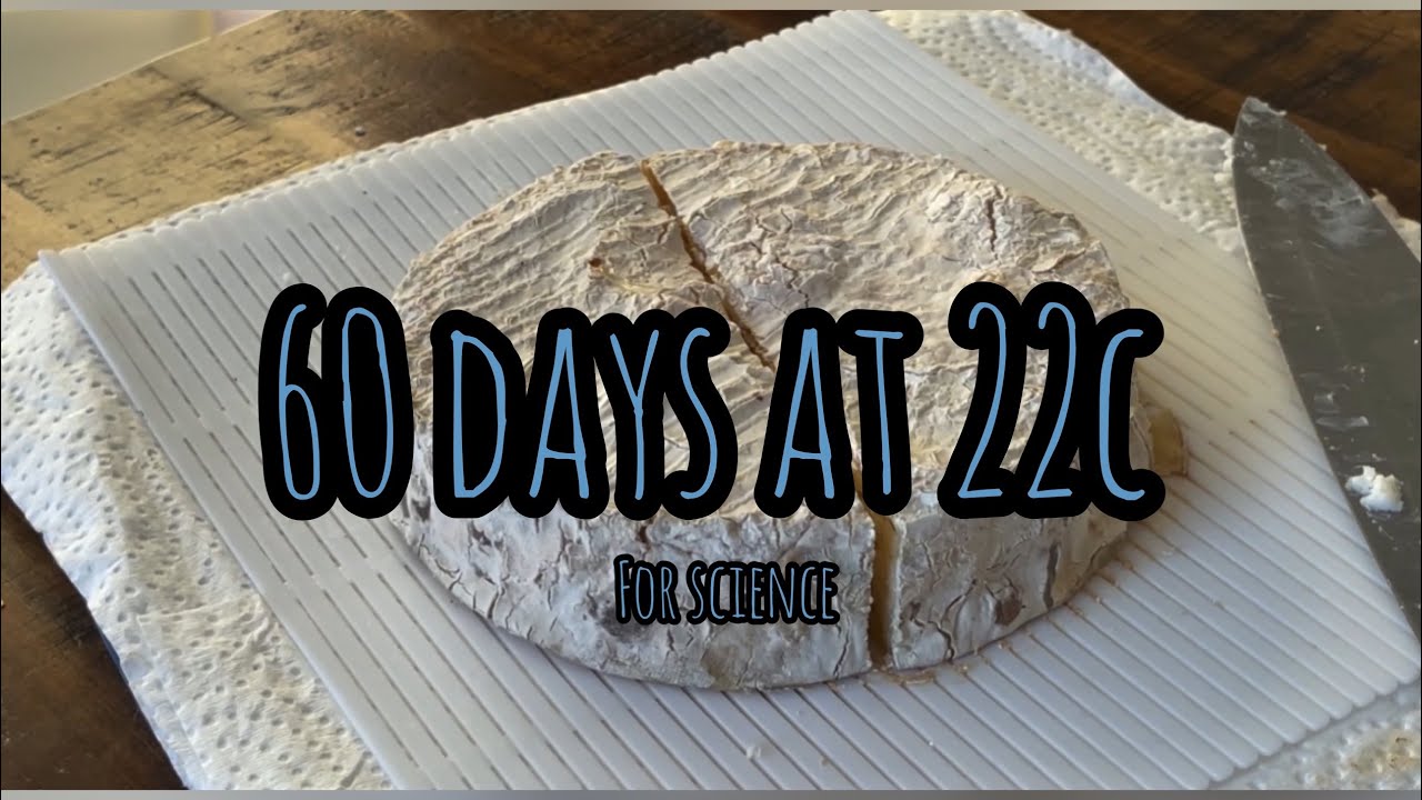 What happens if you DON&rsquo;T age your cheese properly? (Science experiment)
