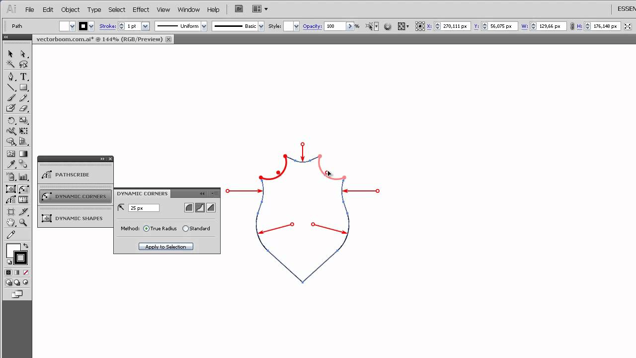 How to Create the Complex Shape with VectorScribe