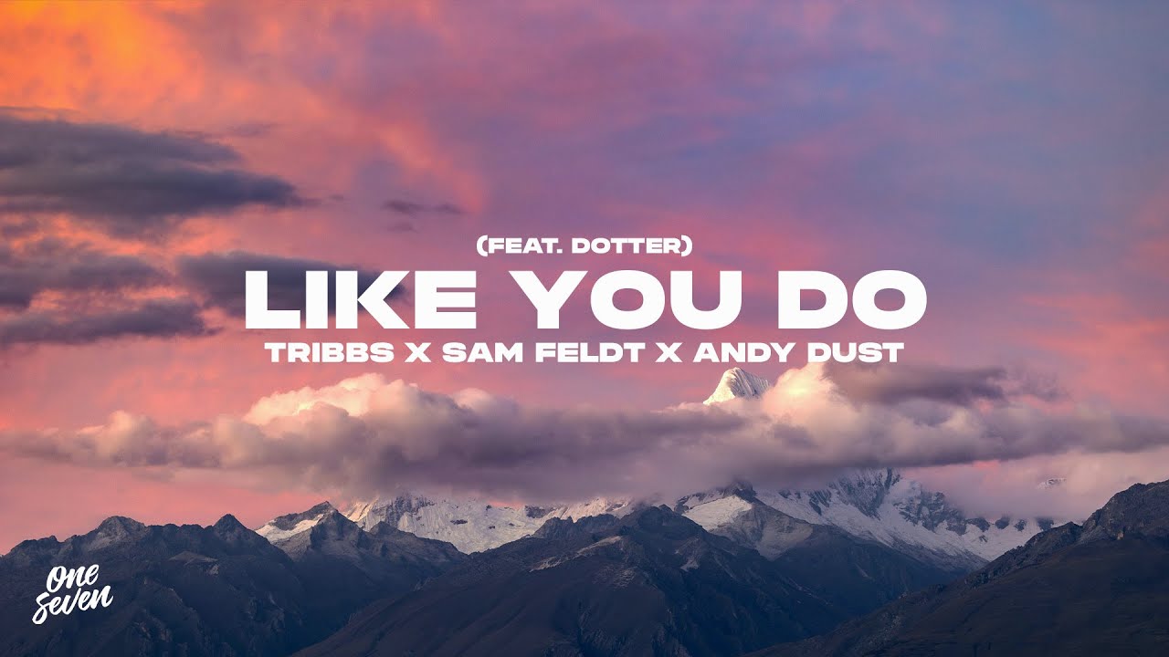 Tribbs, Sam Feldt, Andy Dust feat. Dotter - Like You Do
