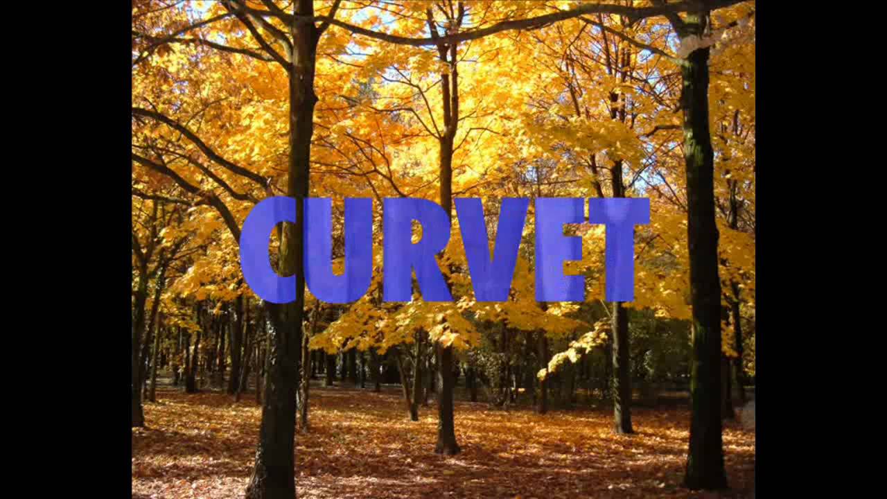 Lavorazione Vetro Curvo | CURVET - Curvet glass, a new fly