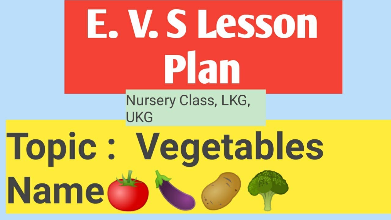 Vegetables Lesson Plan |E.V.S Subject🥦🥕🌽