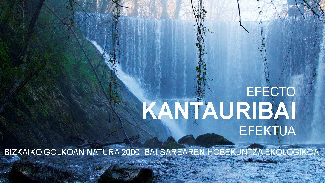 LIFE kantauribai, Nafarroako Kantauri-isurialdeko ibaietan biodibertsitatea kontserbatzeko proiektua
