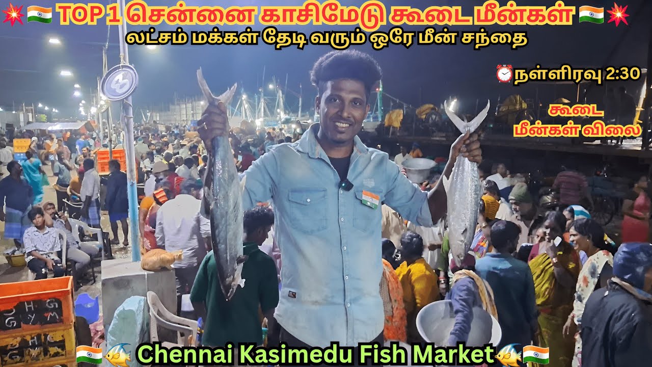 💥🐠 Midnight Kasimedu fish market | Kasimedu fish | Fish | Chennai #biggestfishmarket #viralvideos