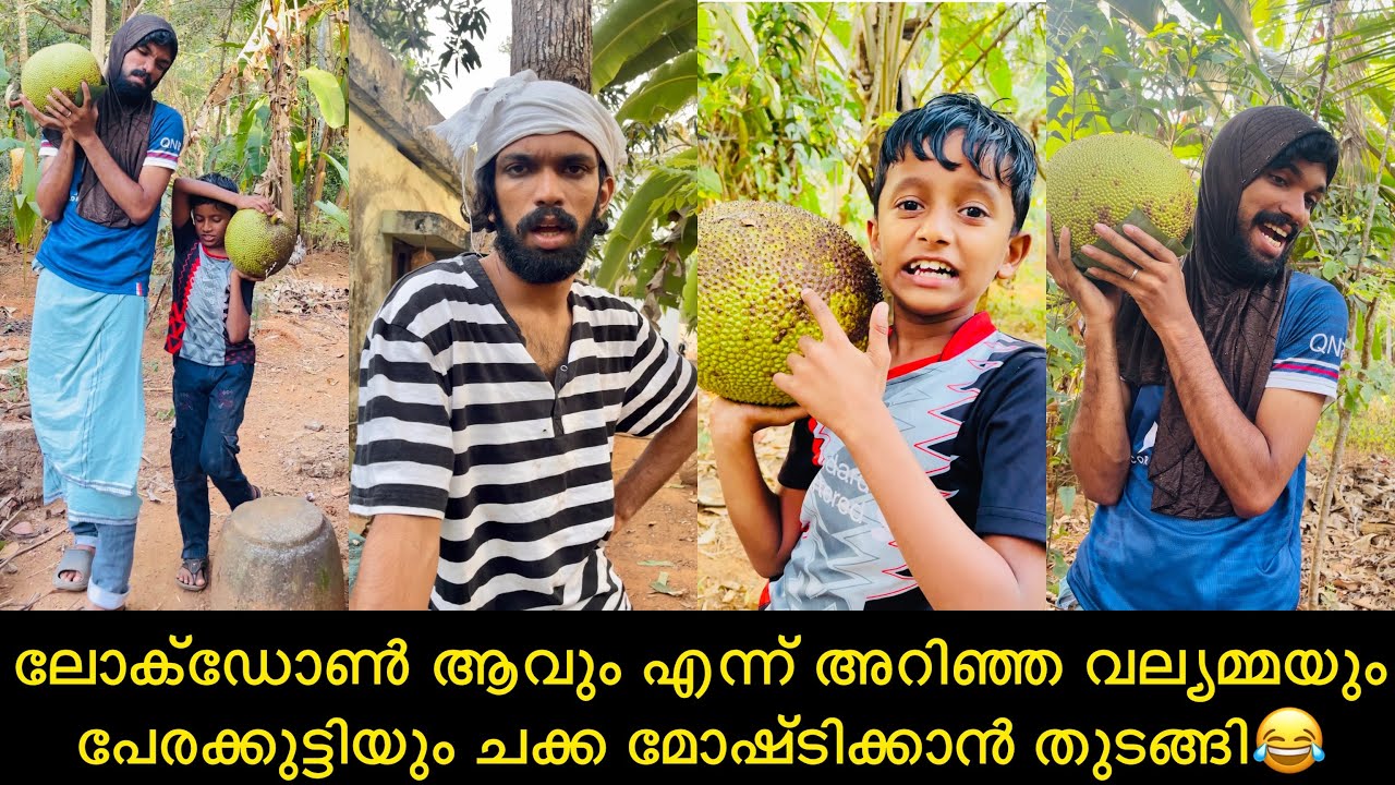 ലോക്ഡോൺ ആവും എന്ന് അറിഞ്ഞ വല്യമ്മയും പേരക്കുട്ടിയും ചക്ക മോഷ്ടിക്കാൻ തുടങ്ങി😂