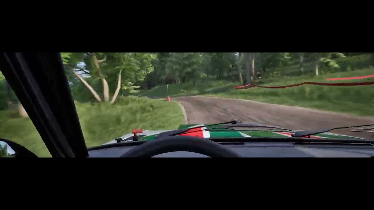 Alsace Rally - no co-driver