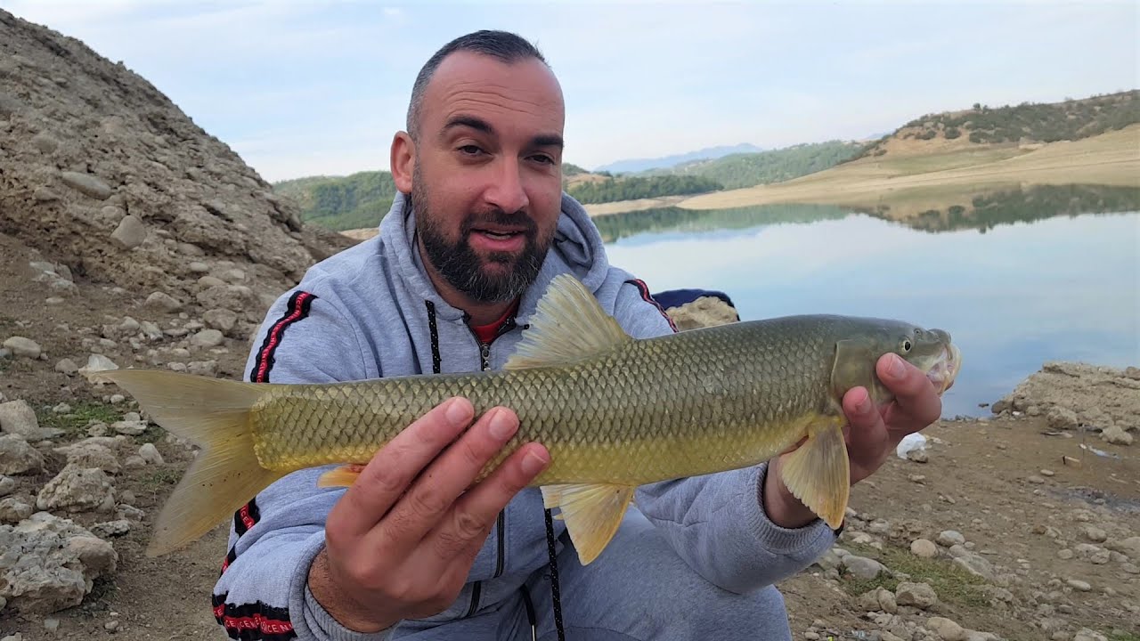 SAZAN AVI ÇATALAN BARAJI (BOİLİ, MISIR SAVAŞININ KAZANANI BOİLİ OLDU)