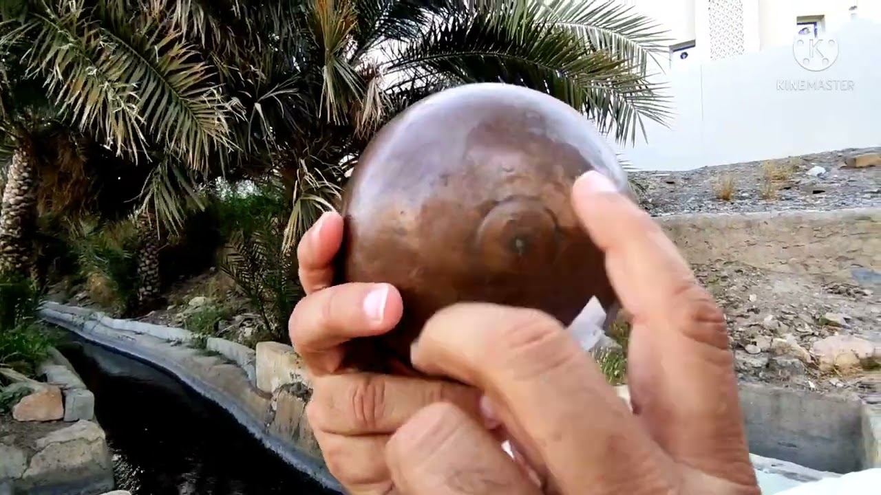 كيفية استخدم طاسة الفلج 