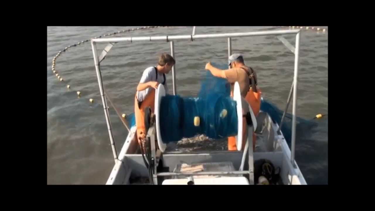 Lampara Seine Net