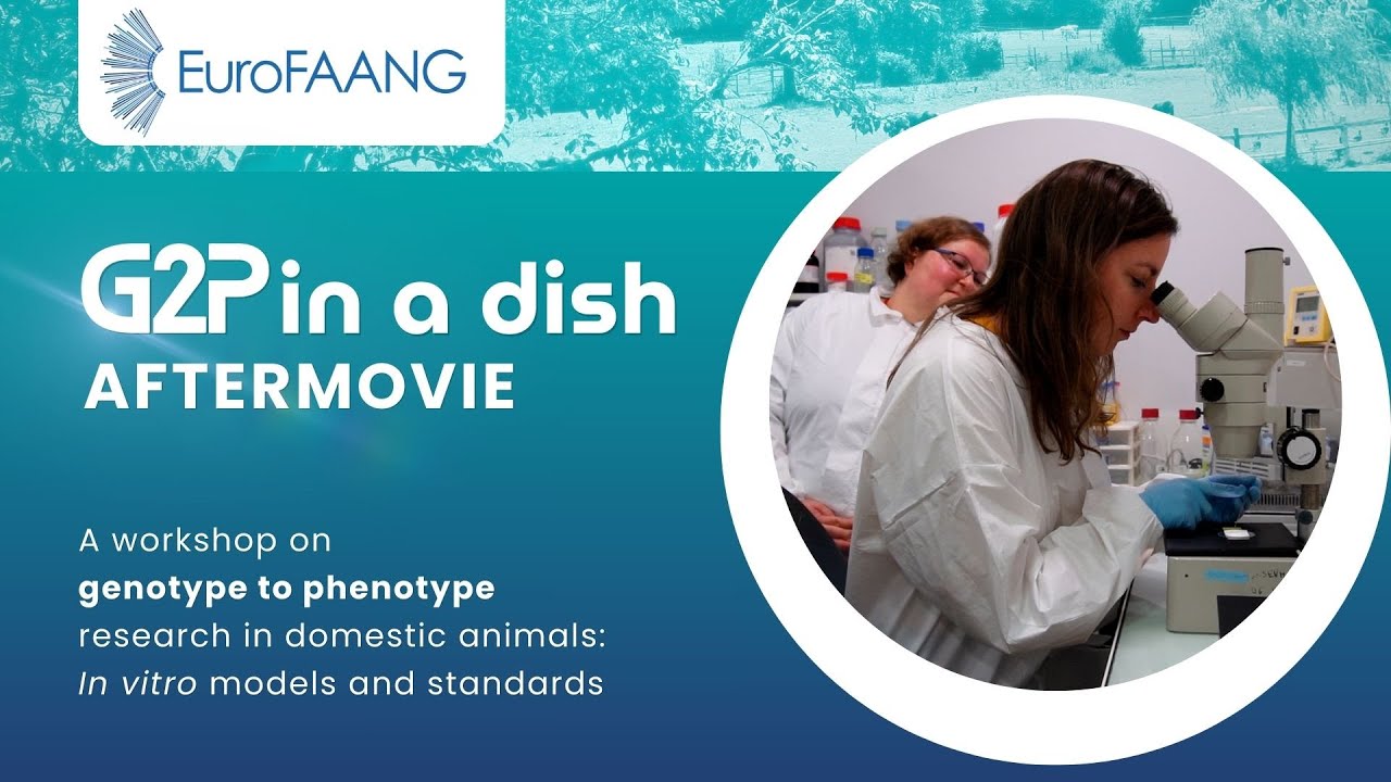 G2P Workshop Aftermovie | Advancing Genotype-to-Phenotype Research in Animal Science