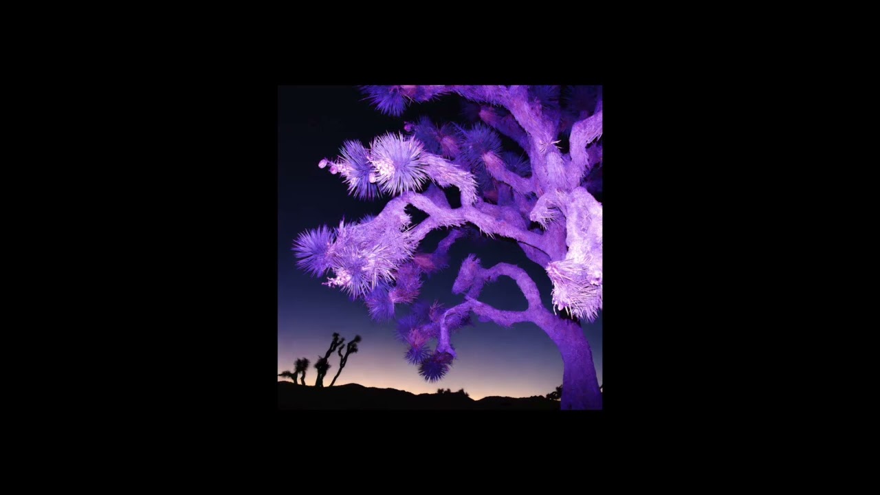 Yard of Blondes — Another Postcard From Joshua Tree (Official Audio) - TRUE