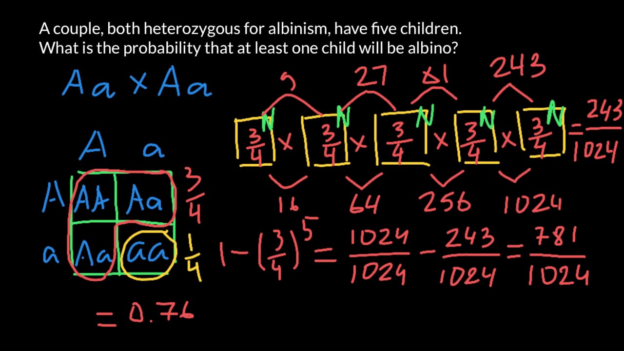 How to solve simple probability problems in genetics