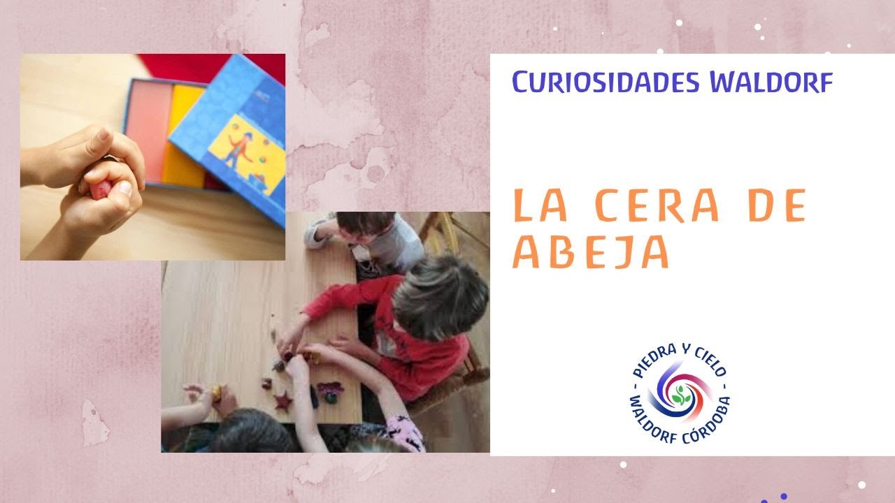 Curiosidades Waldorf  La Cera de Abeja