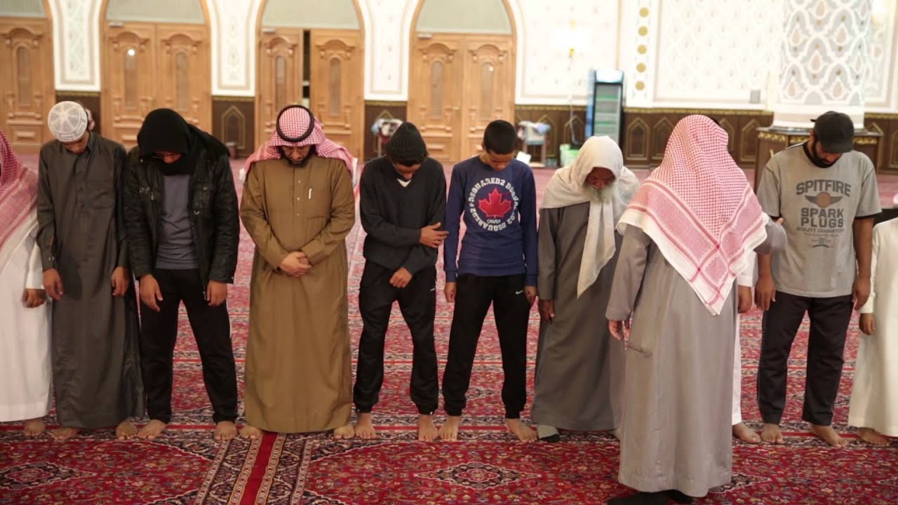 تعليم كيفية تسوية الصفوف في دقيقة