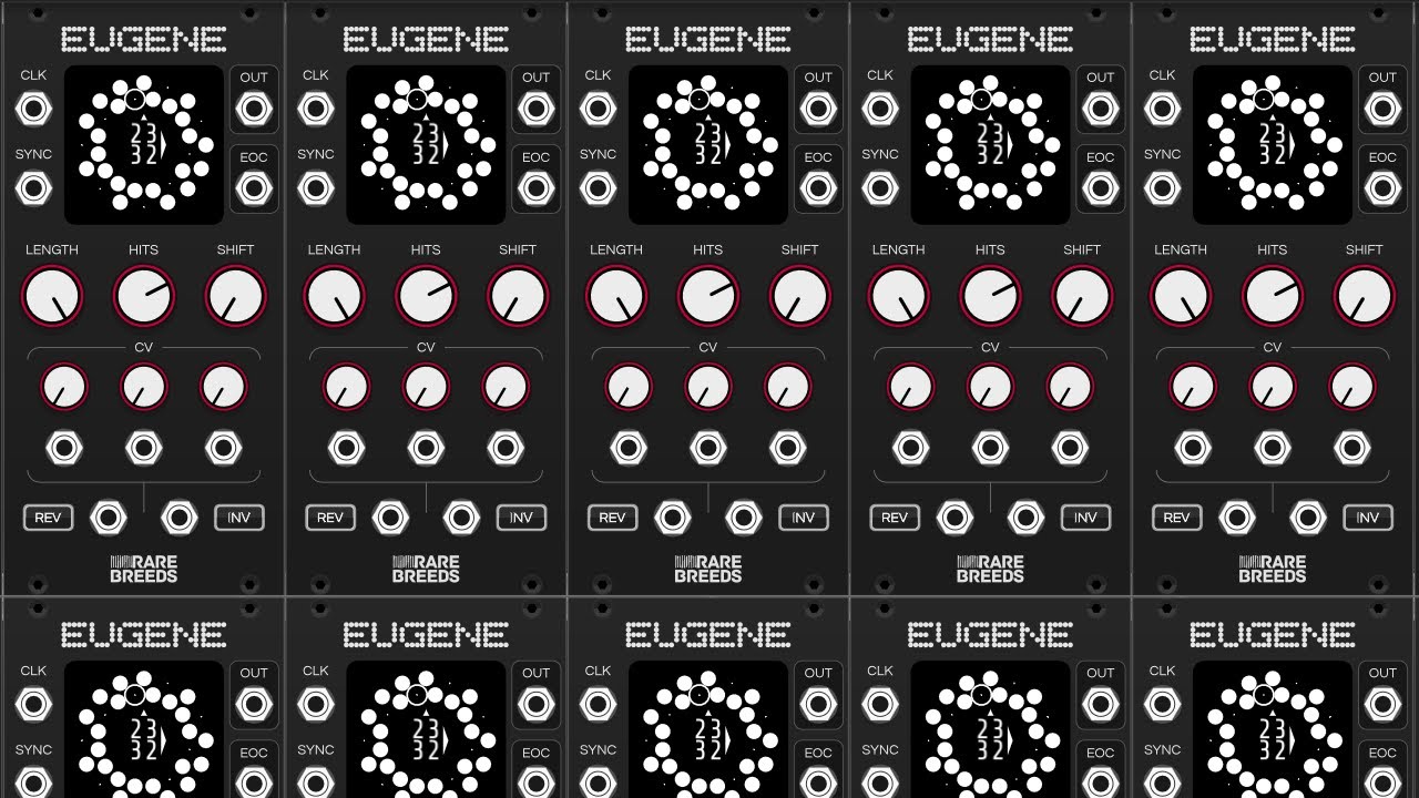 Instant Rhythms: Eugene by RareBreeds