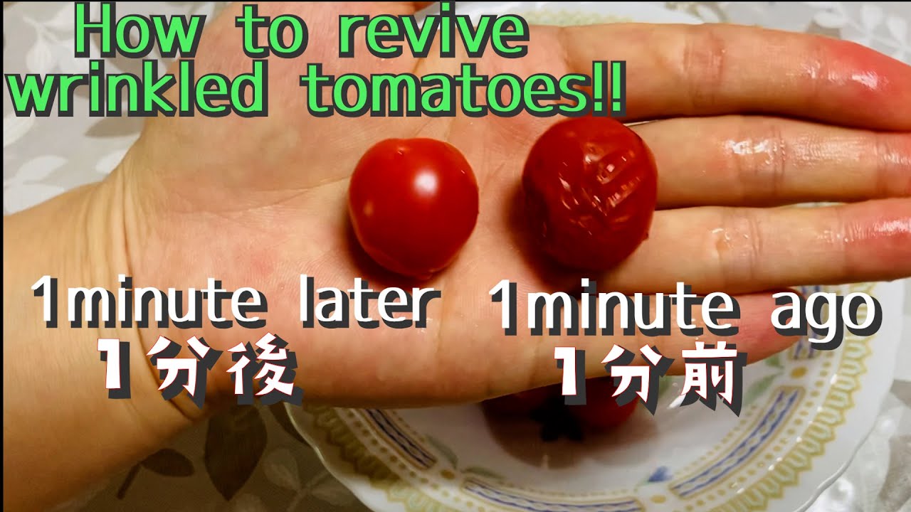 Revive wrinkled cherry tomatoes in a minute~Life hack~
