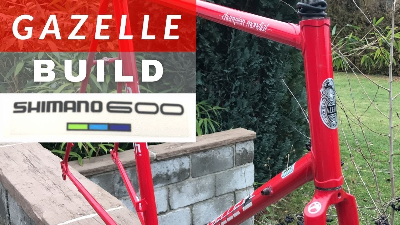 Gazelle Champion Mondial + Shimano 600 Dual control 8sp. BUILD