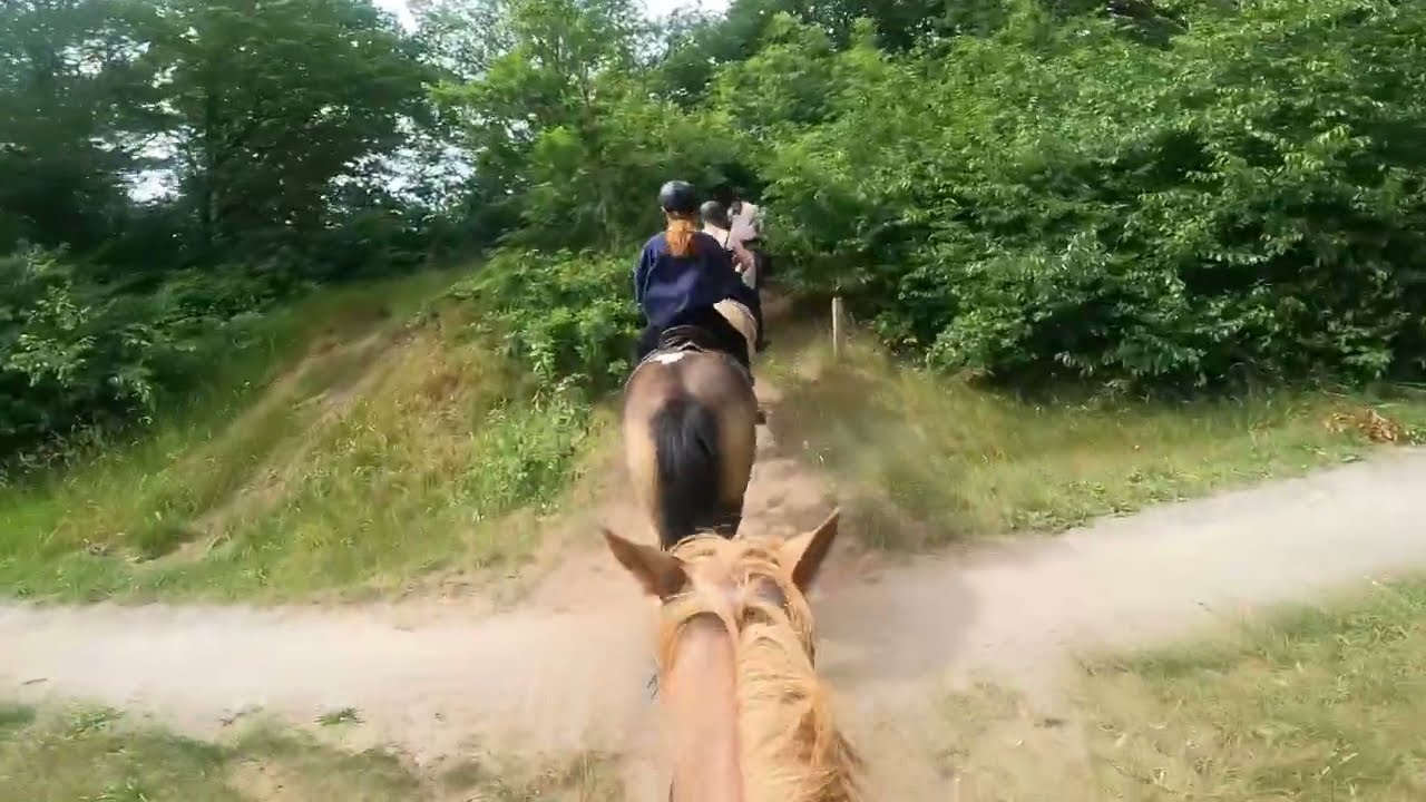 Rc het fjordenpaard huren 22-06-25