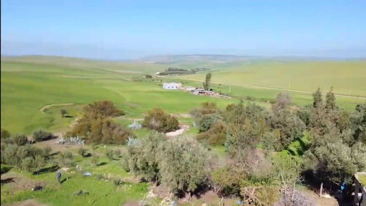 Après la pluie, le beau temps