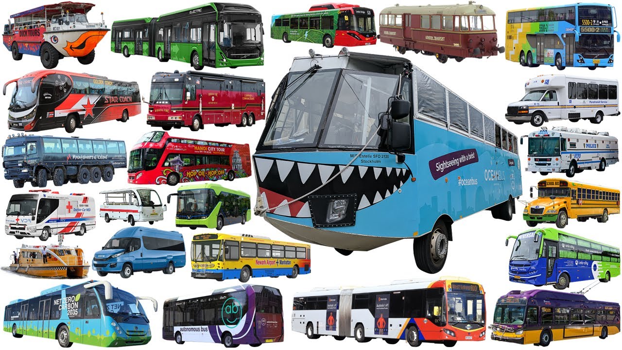 BUS NAME COLLECTION - Tổng Hợp Phương Tiện Giao Th&ocirc;ng BUS | School Bus, City Bus, Coach, Police Bus