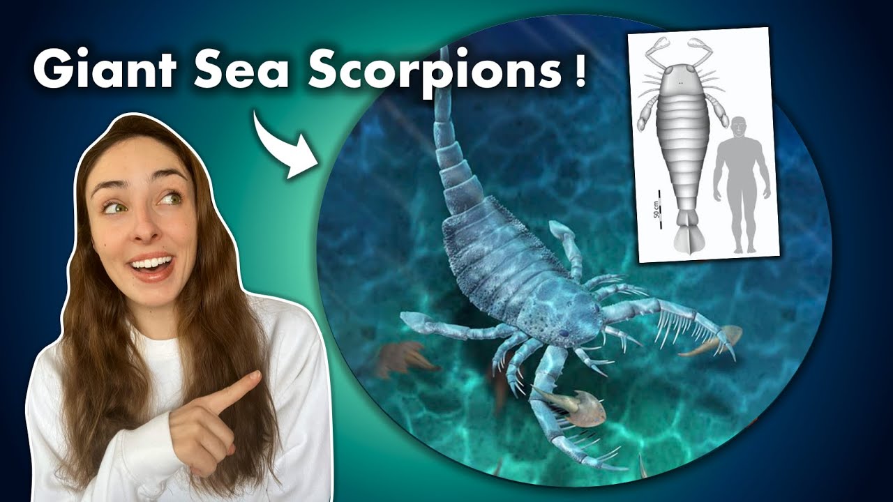 When Sea Scorpions Ruled The Seas! GEO GIRL