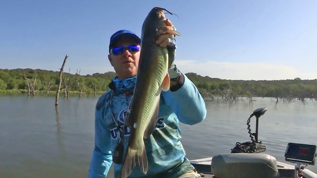 FOX Sports Outdoors SouthWEST #21 - 2018, озеро Скво-Крик, Техас, ловля сома